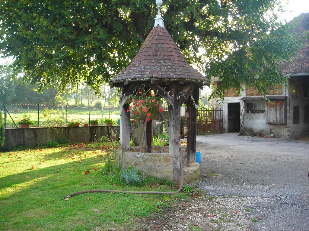 Villa La Bardeliere Corbelin Exterior foto